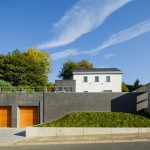 houten garagedeuren elektrisch oregon pine